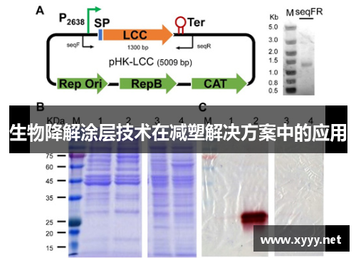 生物降解涂层技术在减塑解决方案中的应用